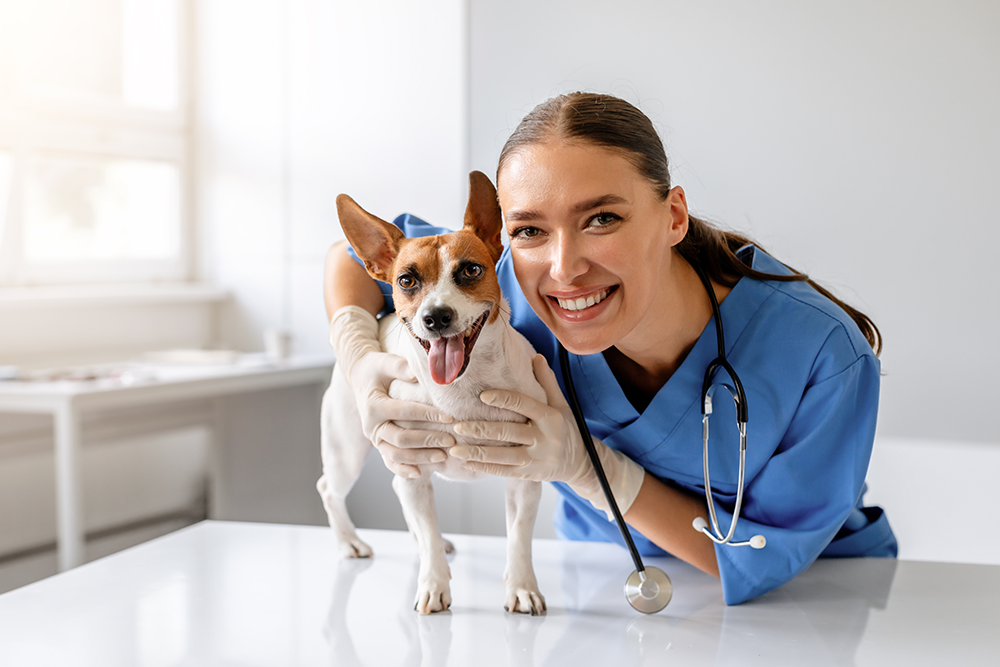 A veterinary student wearing a stethoscope smiles as she holds a small dog.